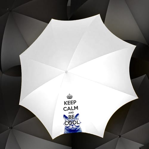 Сгъваем чадър с интересен надпис, дизайн 35